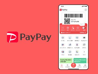 online casino payments, PayPay usage, payment method comparison